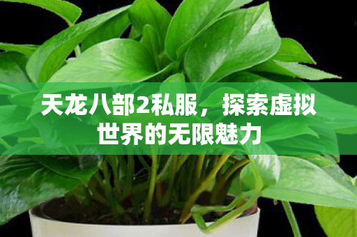 探索虚拟世界的无限魅力图片