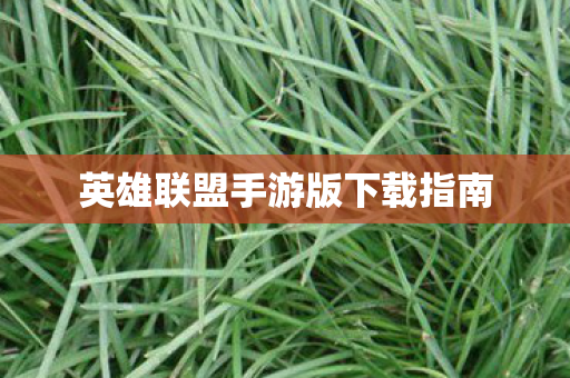 英雄联盟手游版下载指南图片