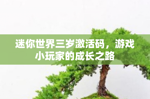游戏小玩家的成长之路图片