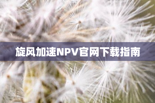 旋风加速NPV官网下载指南图片