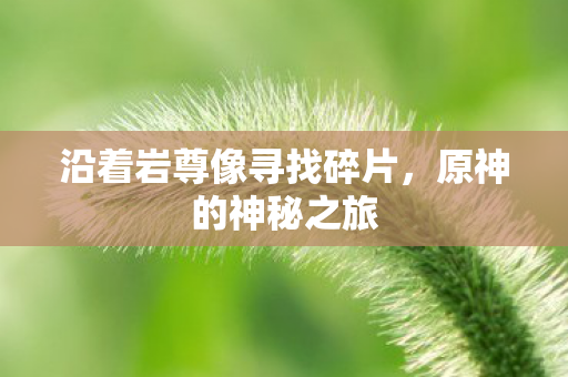 沿着岩尊像寻找碎片图片