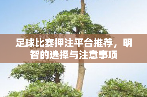 足球比赛押注平台推荐图片