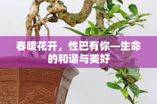 生命的和谐与美好图片