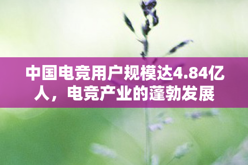 中国电竞用户规模达4图片