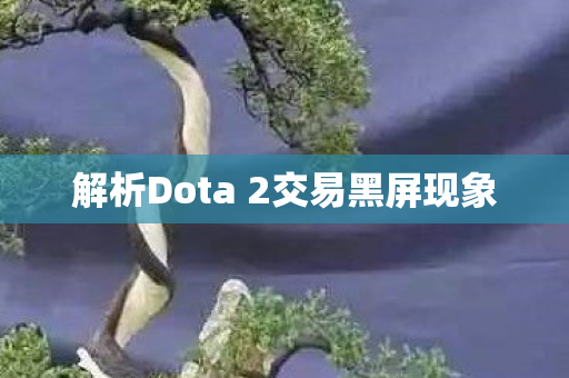 解析Dota 2交易黑屏现象图片
