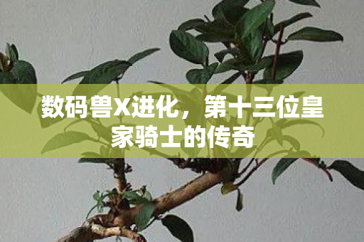 第十三位皇家骑士的传奇图片