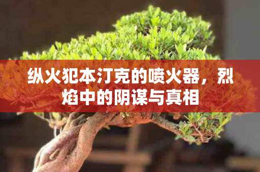 纵火犯本汀克的喷火器图片