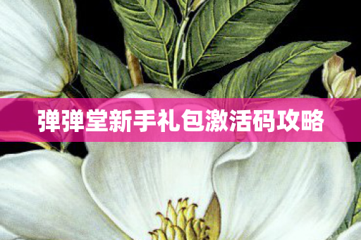 弹弹堂新手礼包激活码攻略图片