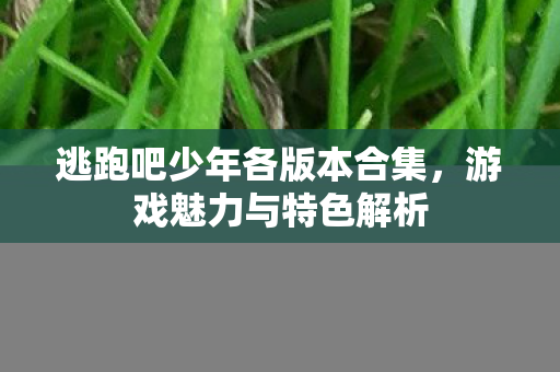 逃跑吧少年各版本合集图片