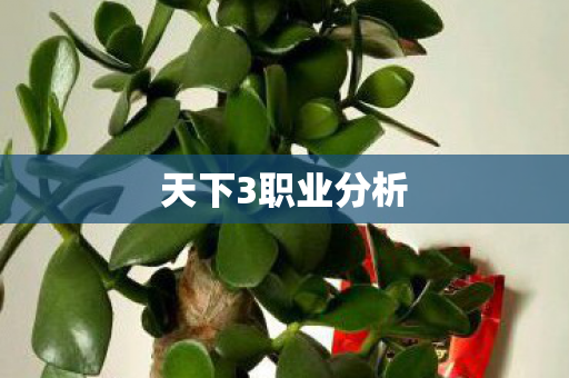 天下3职业分析图片