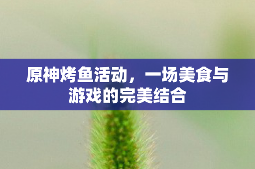 一场美食与游戏的完美结合图片