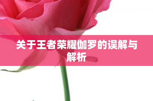 关于王者荣耀伽罗的误解与解析图片