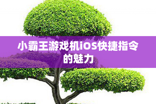 小霸王游戏机iOS快捷指令的魅力图片