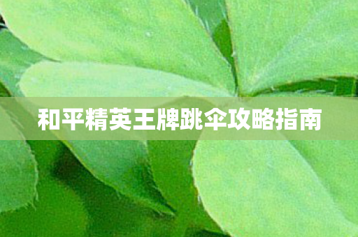 和平精英王牌跳伞攻略指南图片