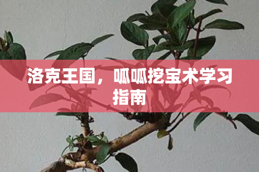 呱呱挖宝术学习指南图片