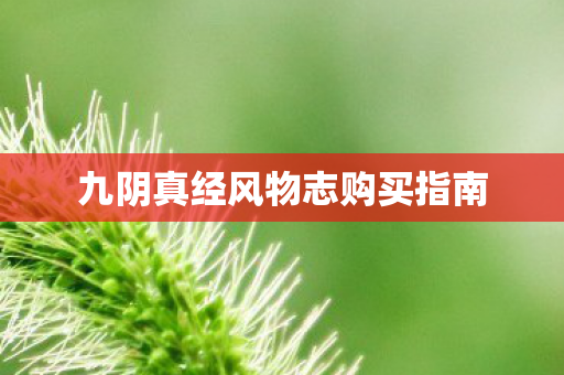九阴真经风物志购买指南图片