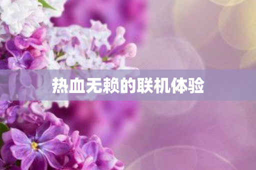 热血无赖的联机体验图片