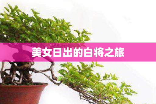 美女日出的白将之旅图片