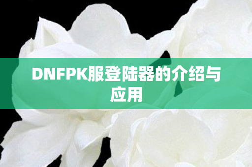 DNFPK服登陆器的介绍与应用图片
