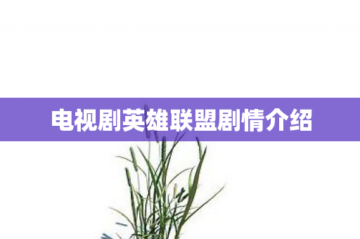 电视剧英雄联盟剧情介绍图片