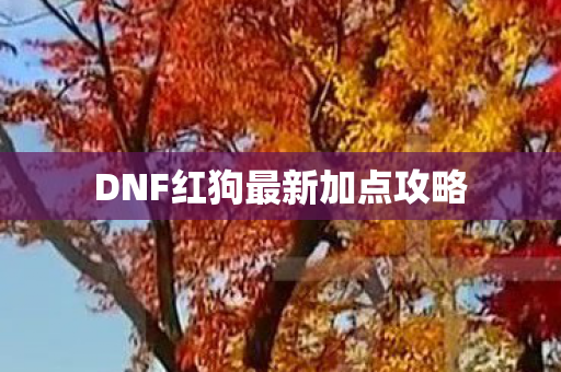 DNF红狗最新加点攻略图片