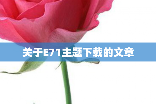 关于E71主题下载的文章图片