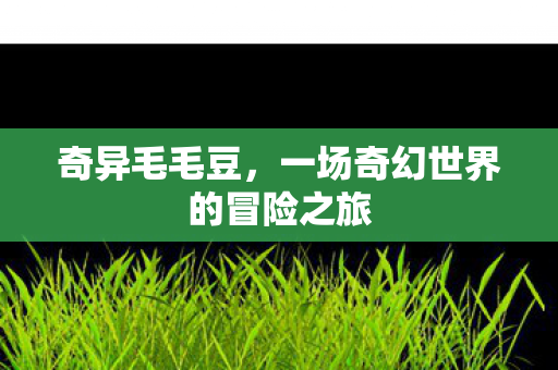 一场奇幻世界的冒险之旅图片