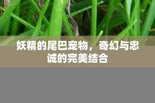 奇幻与忠诚的完美结合图片