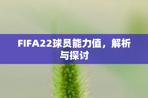 FIFA22球员能力值图片