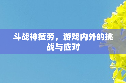 游戏内外的挑战与应对图片
