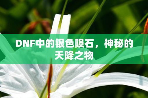 DNF中的银色陨石图片