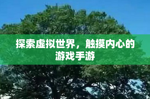 触摸内心的游戏手游图片