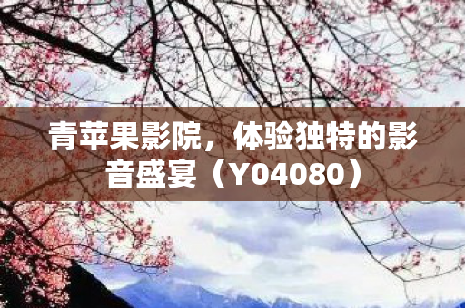 体验独特的影音盛宴图片