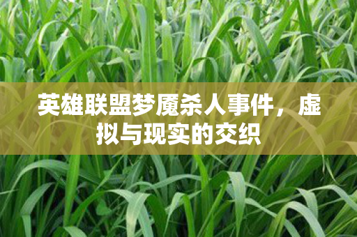 英雄联盟梦魇杀人事件图片