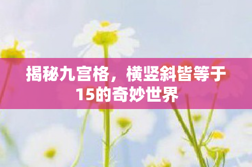 横竖斜皆等于15的奇妙世界图片