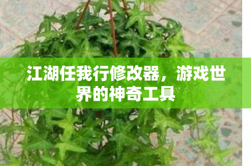 游戏世界的神奇工具图片