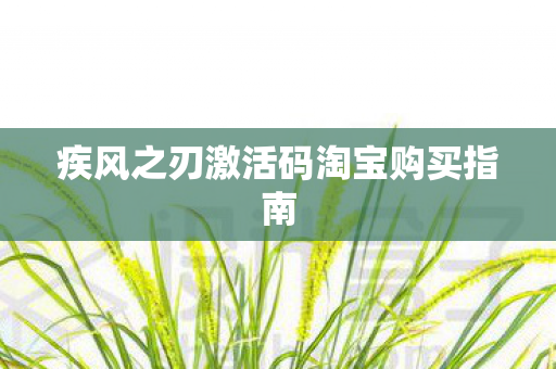 疾风之刃激活码淘宝购买指南图片