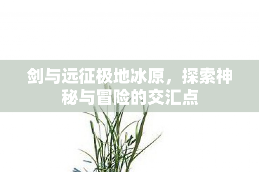 探索神秘与冒险的交汇点图片