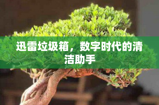 数字时代的清洁助手图片