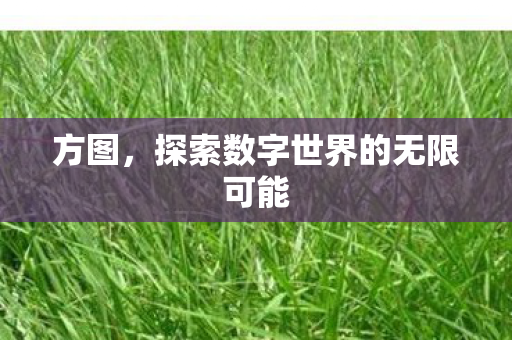 探索数字世界的无限可能图片