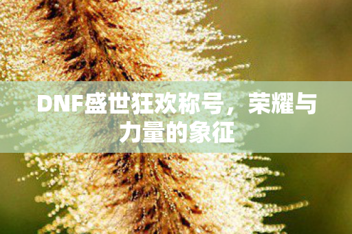 DNF盛世狂欢称号图片