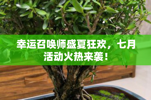 幸运召唤师盛夏狂欢图片
