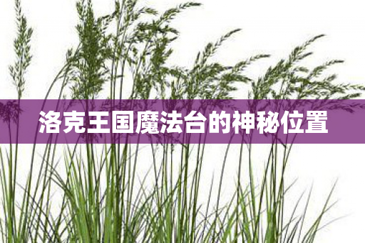 洛克王国魔法台的神秘位置图片