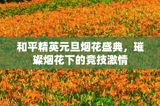 和平精英元旦烟花盛典图片