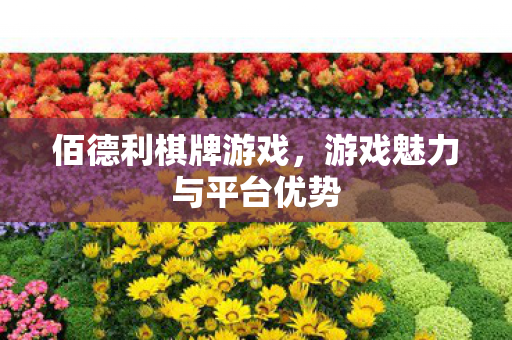 游戏魅力与平台优势图片