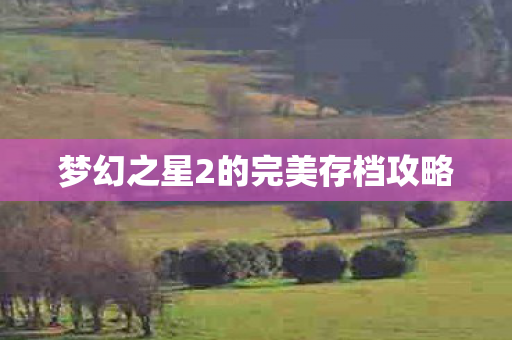 梦幻之星2的完美存档攻略图片