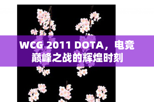 WCG 2011 DOTA，电竞巅峰之战的辉煌时刻