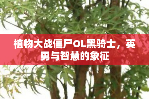 植物大战僵尸OL黑骑士图片