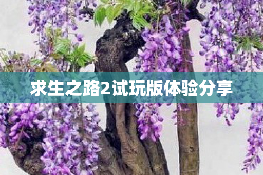 求生之路2试玩版体验分享图片