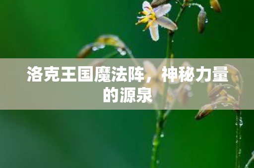 洛克王国魔法阵图片